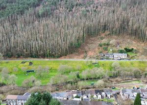 Photo 27- click for photo gallery